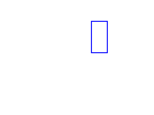 COCO_322163_box
