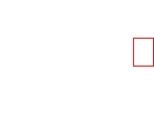 COCO_322352_box