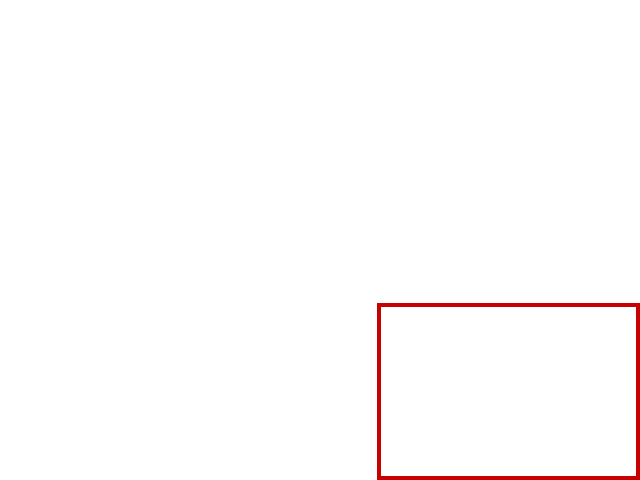 COCO_322895_box