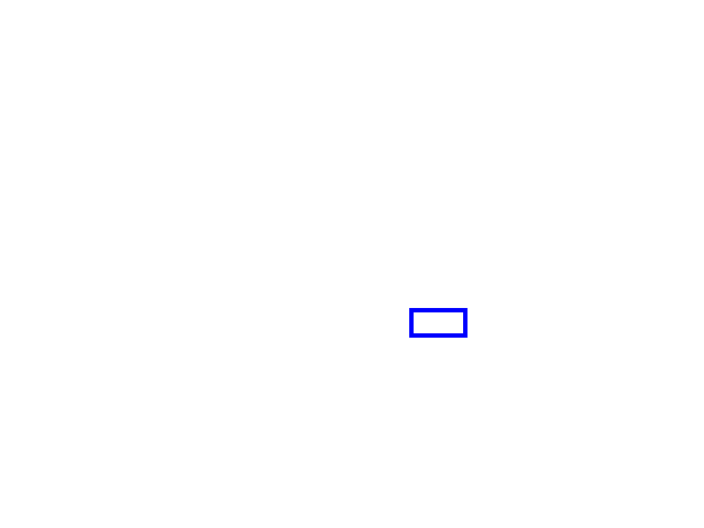 COCO_322895_box
