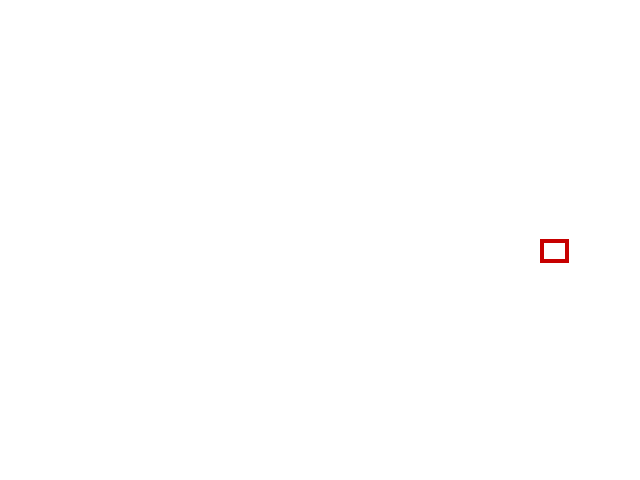 COCO_325838_box