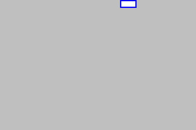 mask_COCO_326248_box