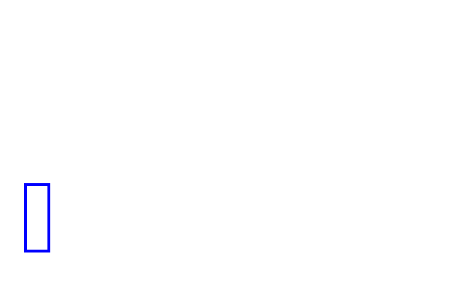 COCO_329456_box