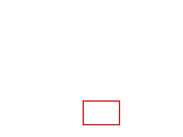 COCO_331817_box