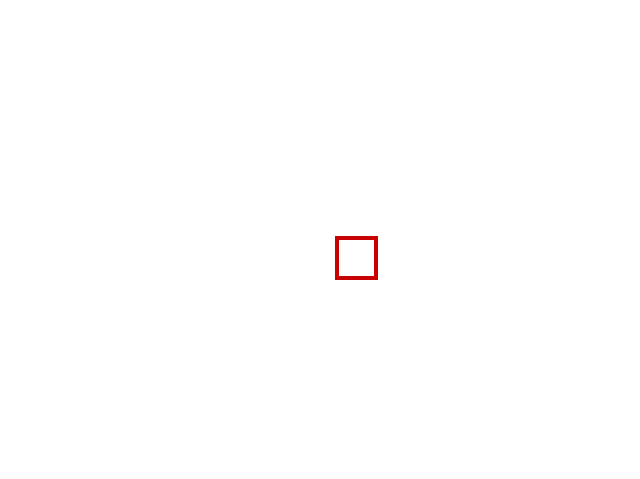 COCO_335177_box