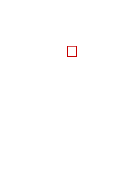 COCO_338304_box
