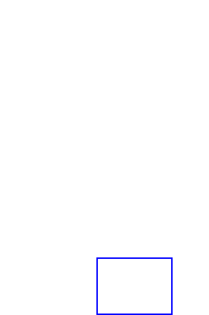 COCO_338304_box