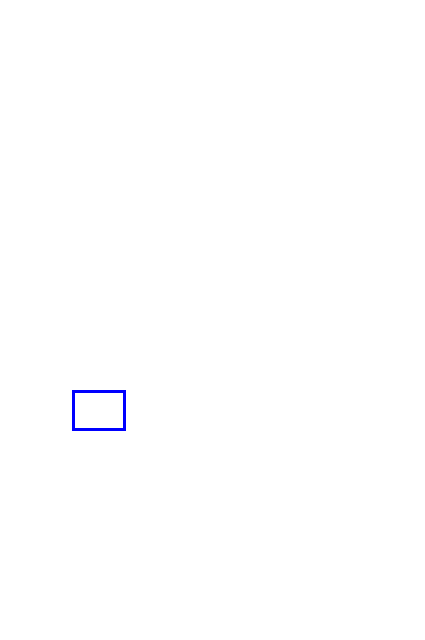 COCO_338304_box