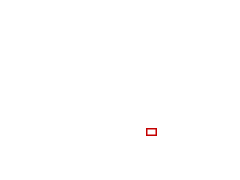COCO_338905_box