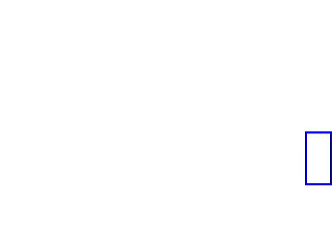 COCO_338905_box