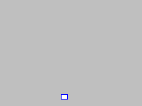 mask_COCO_338905_box
