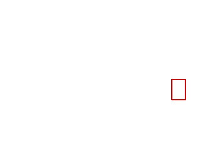 COCO_340894_box