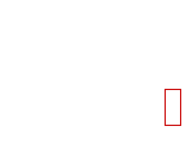 COCO_341719_box