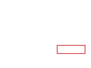 COCO_343466_box