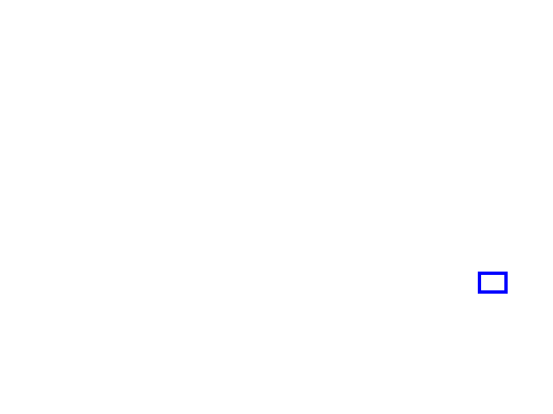 COCO_343976_box