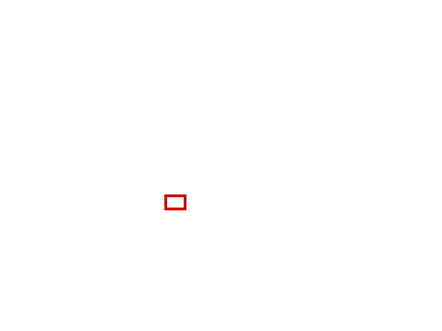 COCO_345356_box