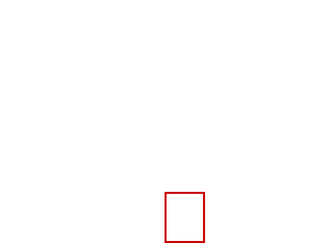 COCO_345356_box