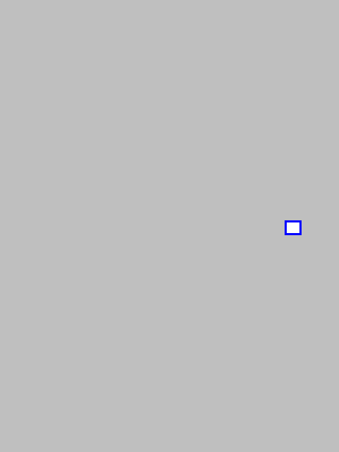 mask_COCO_345469_box