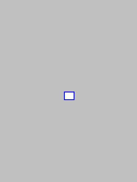 mask_COCO_345469_box