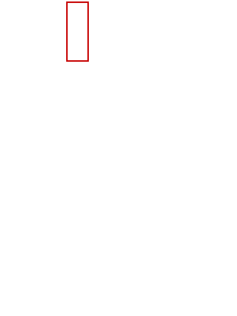 COCO_347335_box