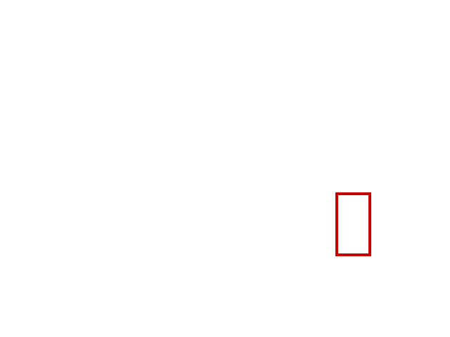 COCO_348481_box