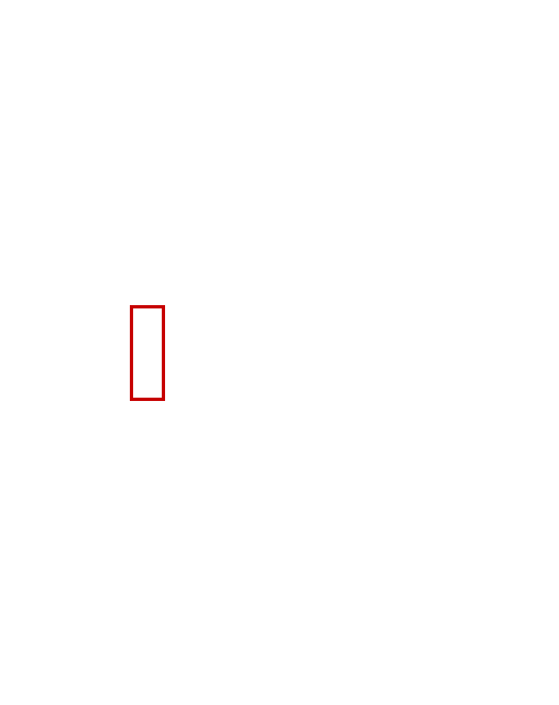 COCO_351823_box