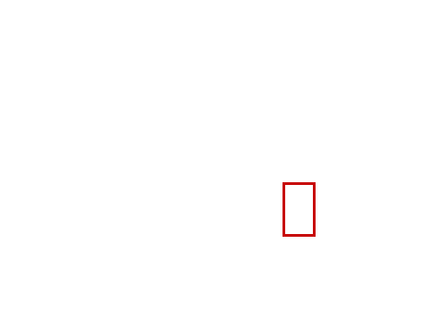 COCO_354829_box
