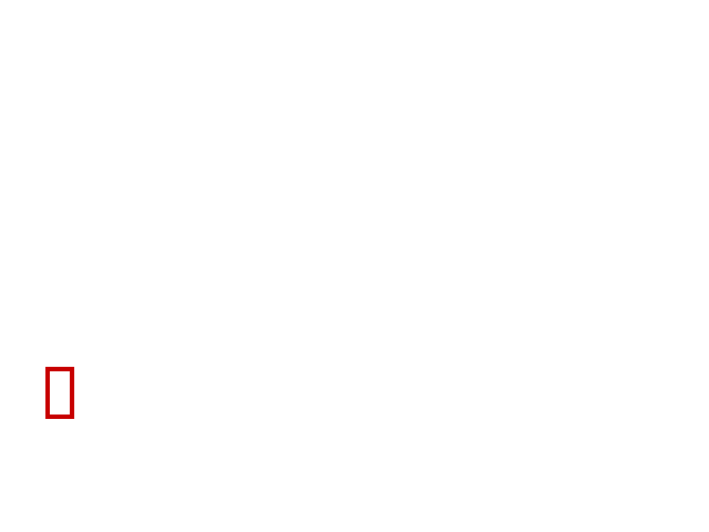 COCO_356169_box