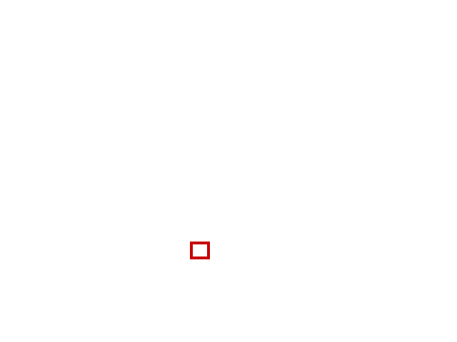 COCO_357888_box