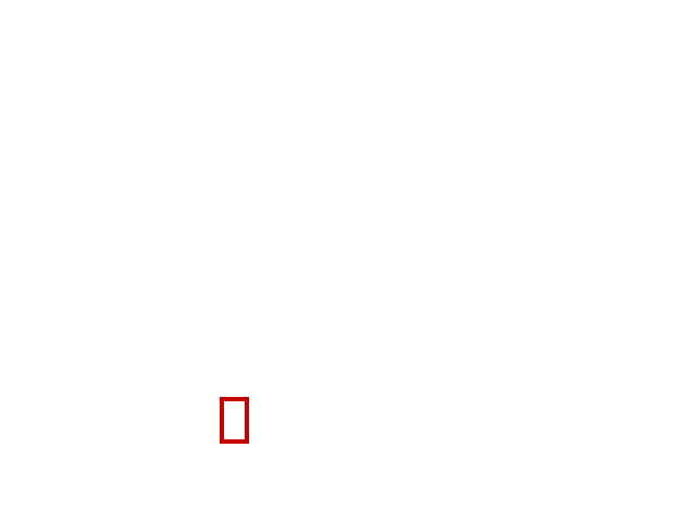 COCO_357888_box