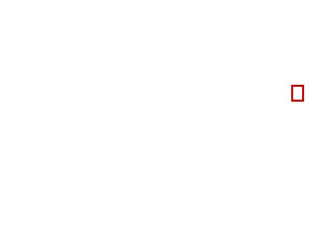 COCO_357888_box