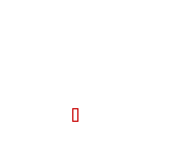 COCO_357888_box