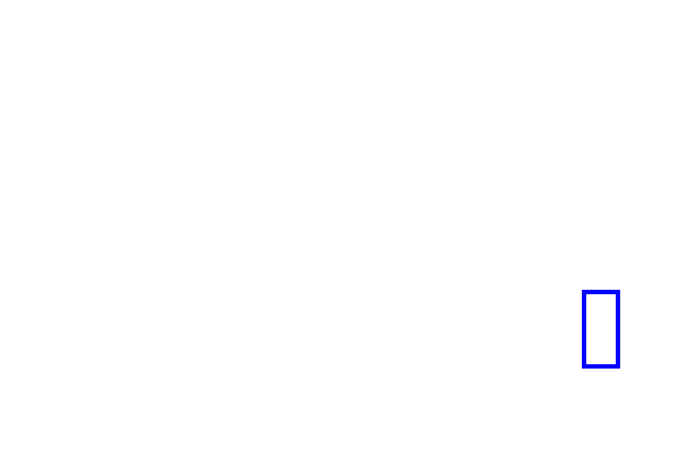 COCO_361103_box