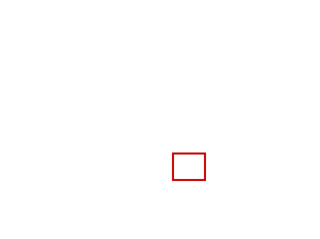 COCO_363461_box