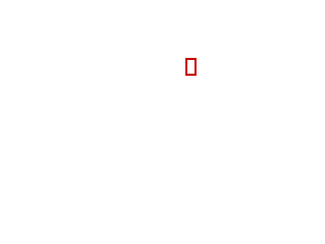 COCO_365745_box