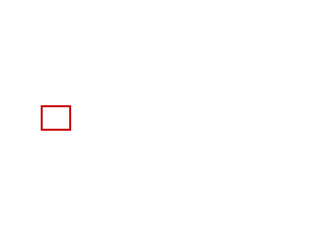 COCO_366141_box