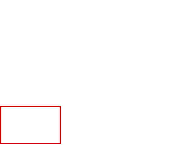 COCO_367386_box