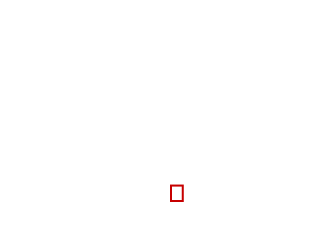 COCO_367386_box