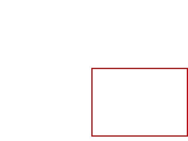 COCO_367386_box