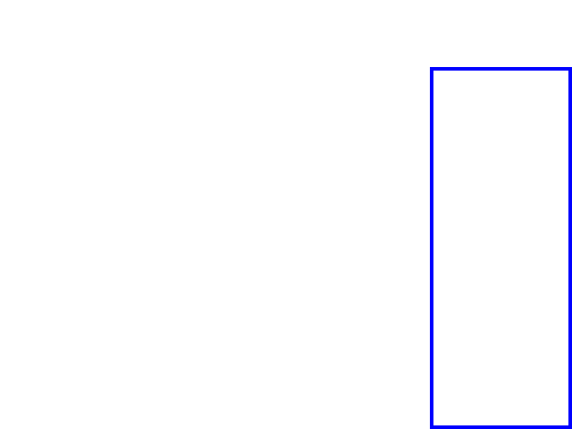 COCO_368961_box