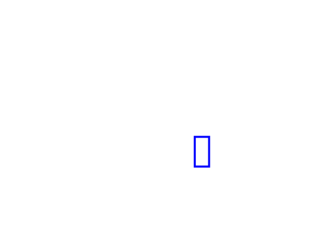 COCO_369442_box