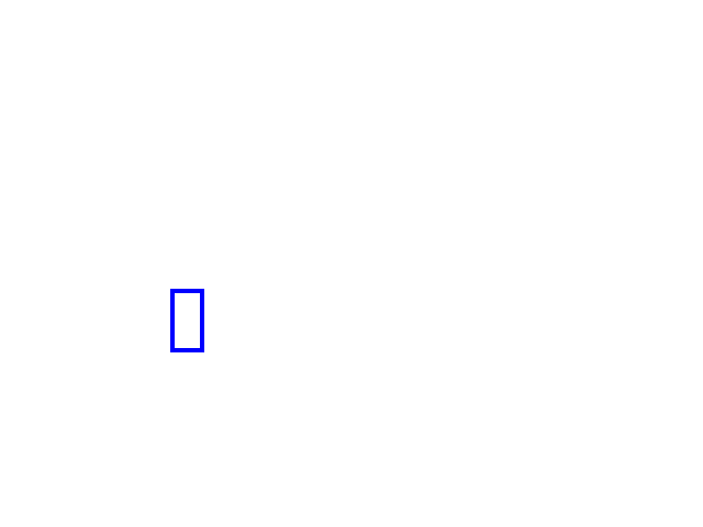COCO_369442_box
