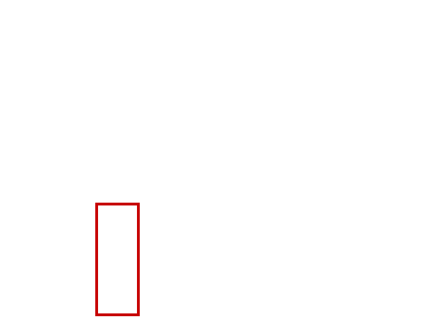 COCO_376264_box