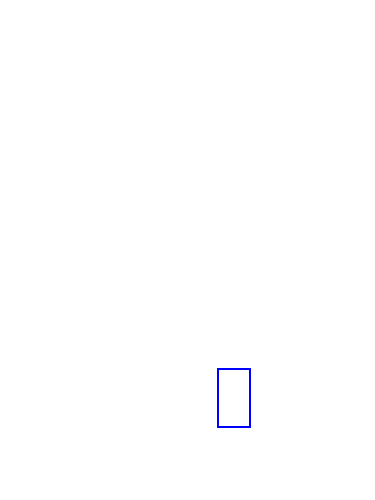 COCO_376307_box