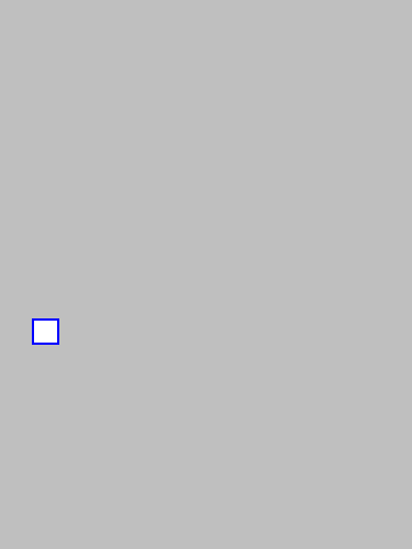 mask_COCO_376307_box