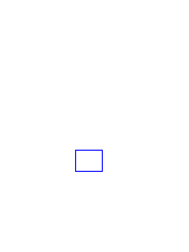 COCO_376307_box