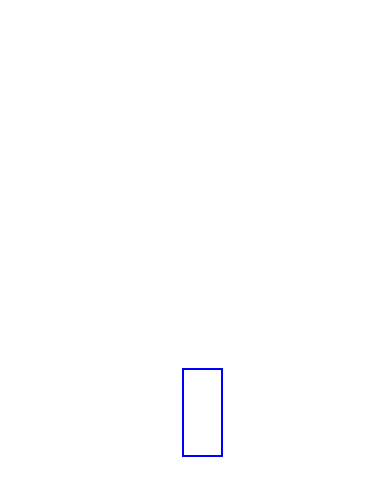 COCO_376307_box