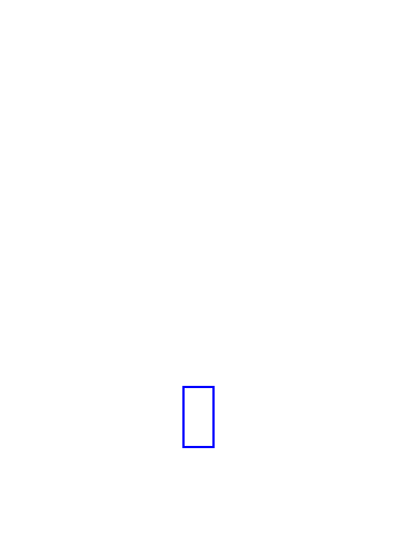 COCO_376307_box