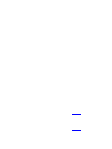 COCO_376307_box