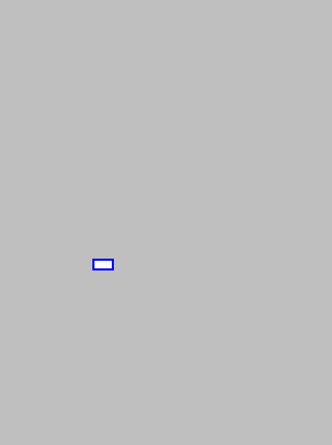 mask_COCO_376322_box